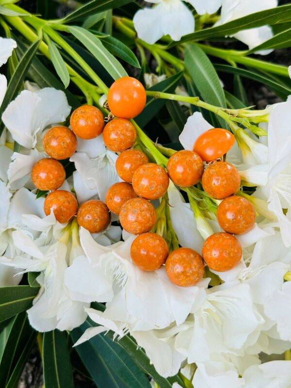 Boucles Siri – Image 3