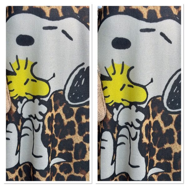 Robe Snoopy Léopard