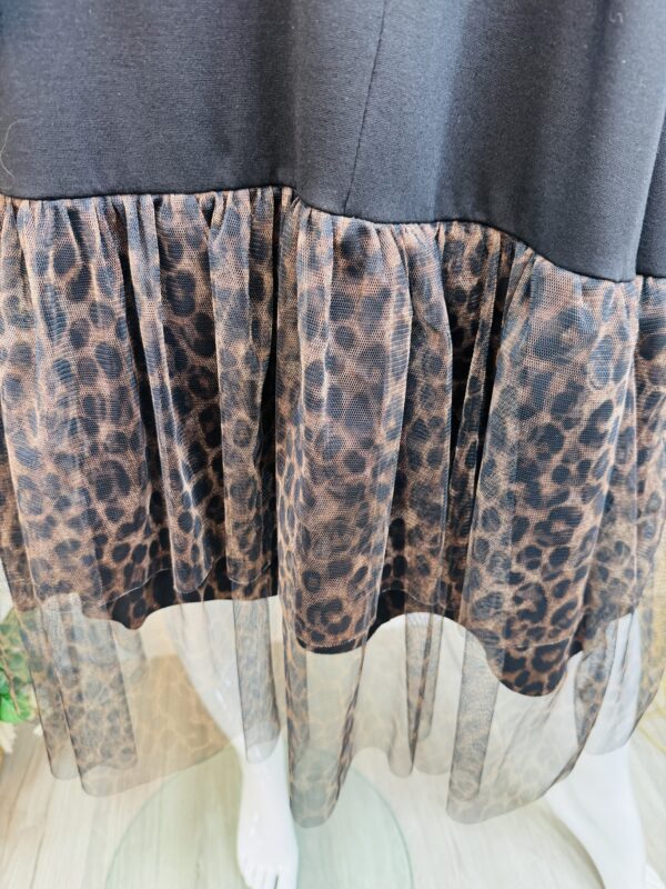 Robe Lexa – Image 5