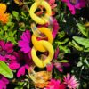 Bracelet Soleil Twist – Image 2
