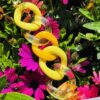 Bracelet Soleil Twist