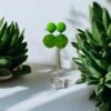 Boucles d’oreilles Venus XS – Image 5